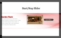Thumbnail for Start Stop Slider demo