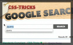 Thumbnail for #29: Google Search for Your Site
