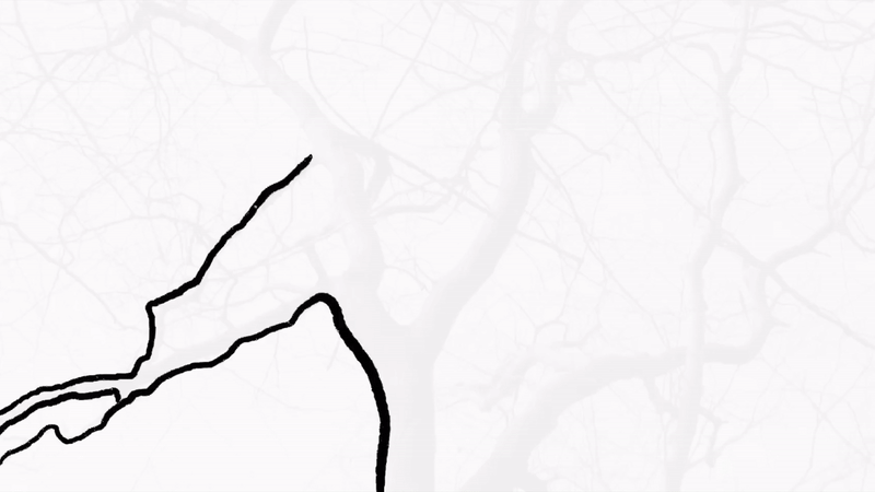 Animated version of all tree images from start to finish.