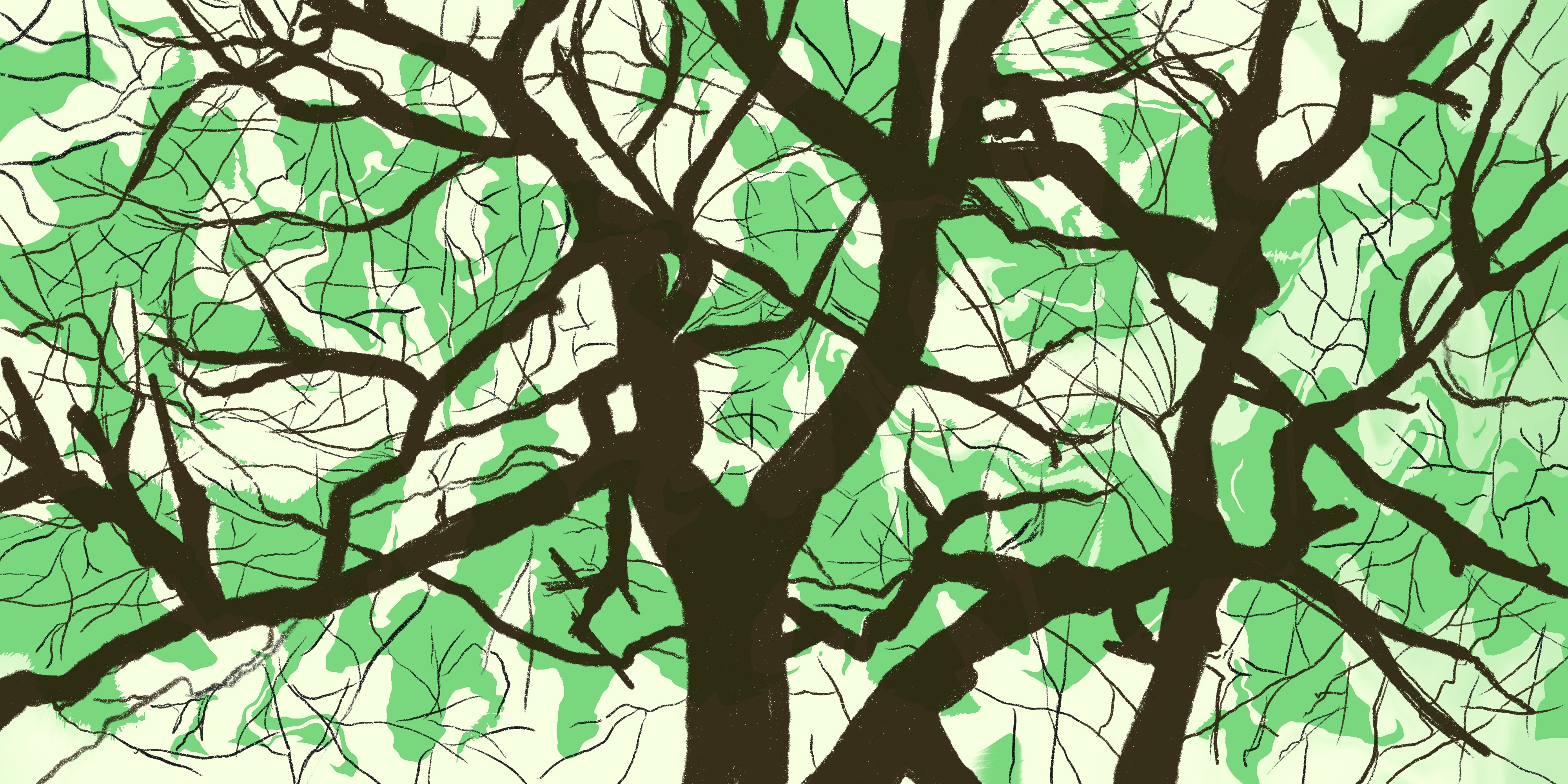 Tree illustration with green background