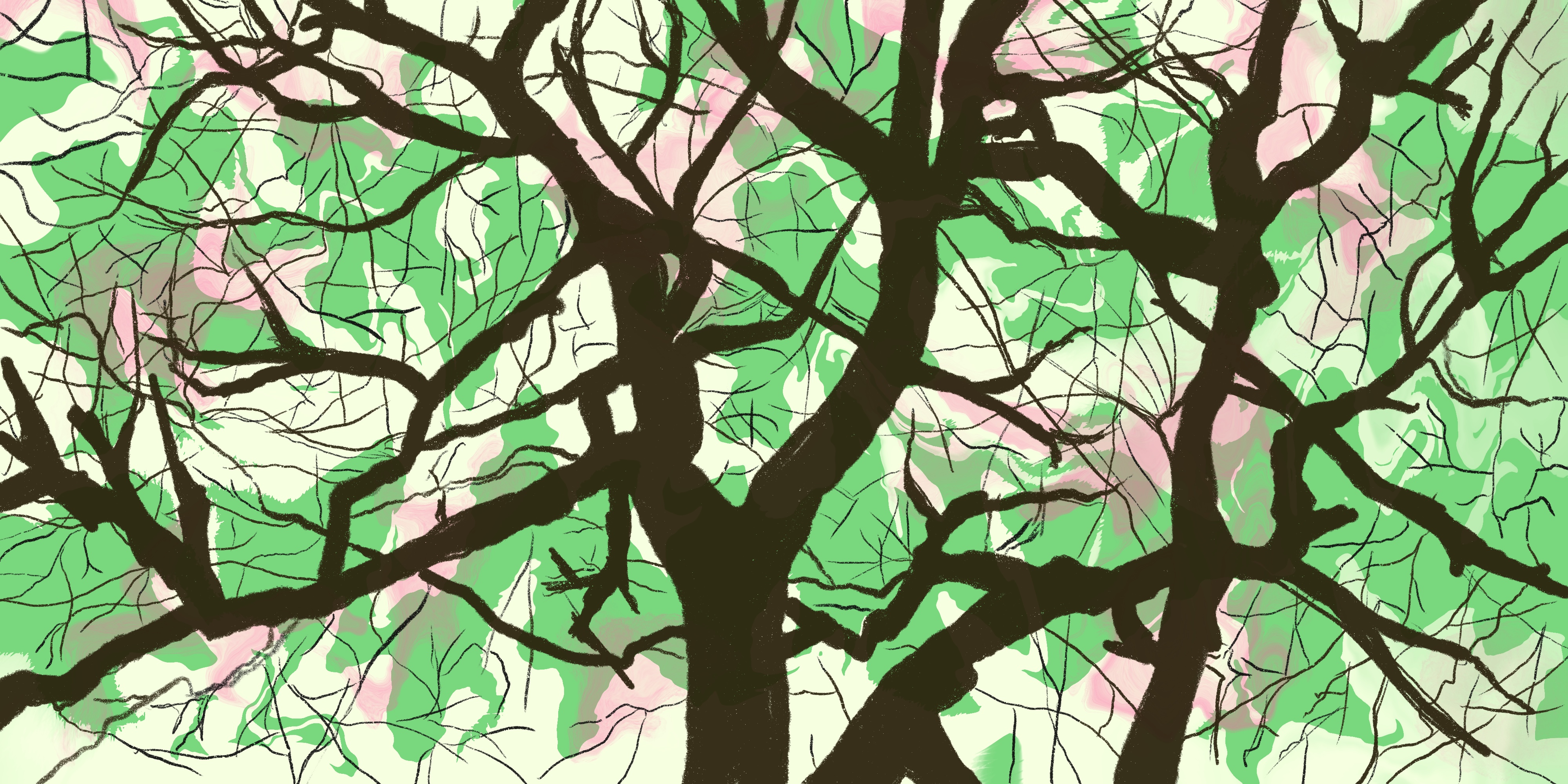 Full color tree illustration