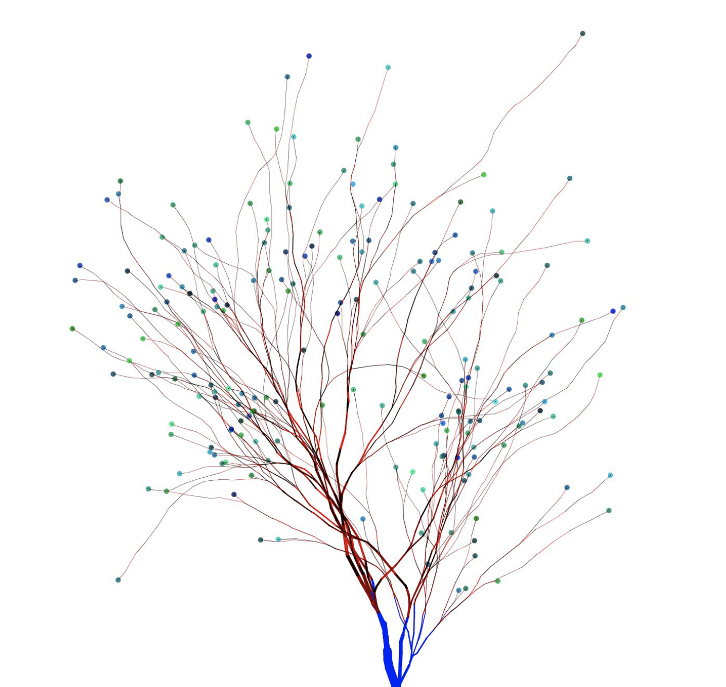 A tree of nodes branching out, but sharing a common trunk.