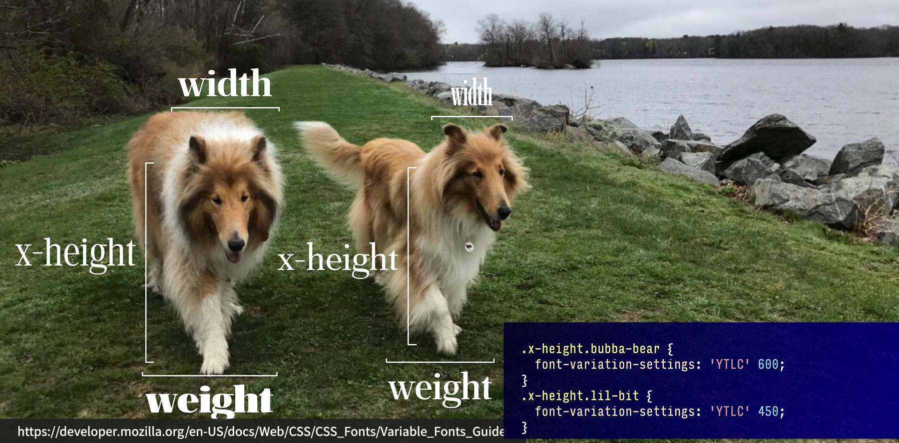 Image of Tristan and Tillie explaining variable fonts