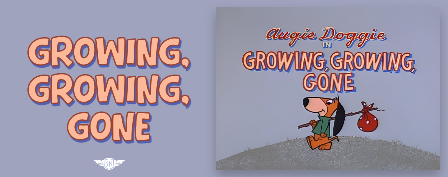 What’s !important #2: Conditional View Transitions, CSS/SVG Text Effects, the Best of CSS Bluesky, and More